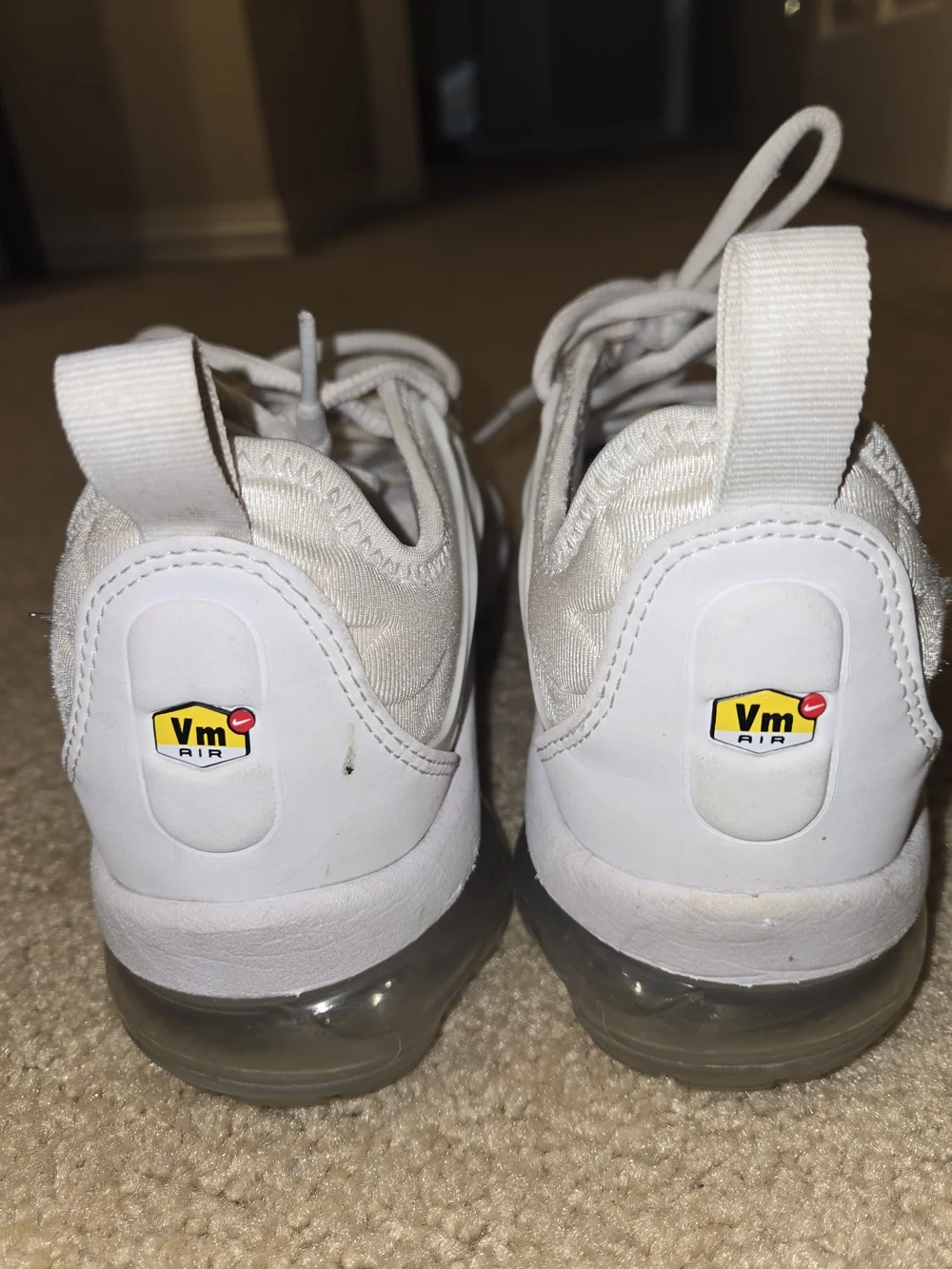 Nike Air VaporMax Plus, specifically in the 